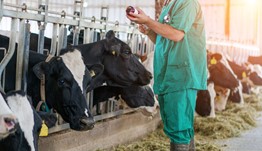 Animal health and welfare